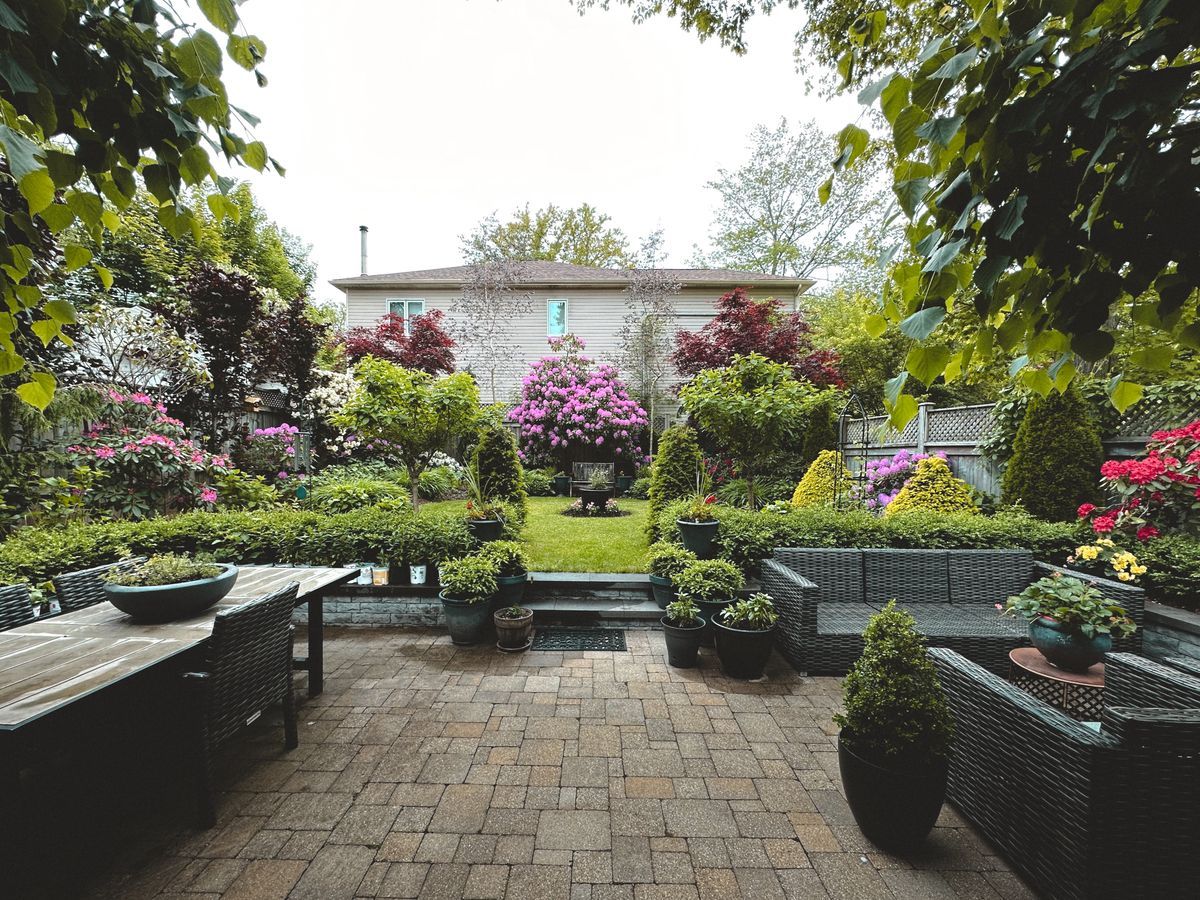 Paved public courtyard with planters and flowering trees