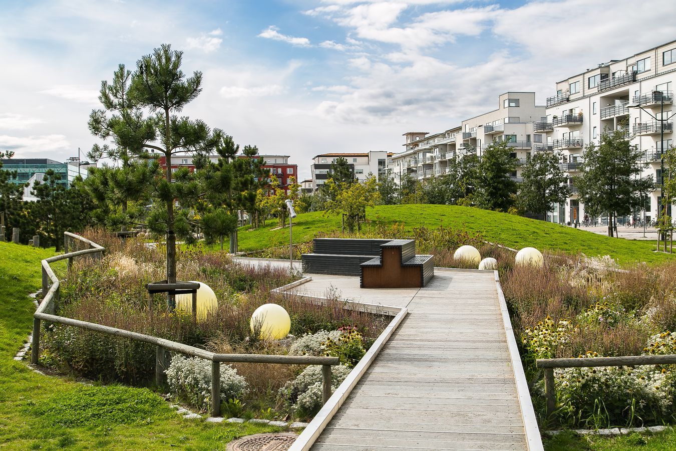 Urban park with a timber boardwalk, native grasses and a lawn mound