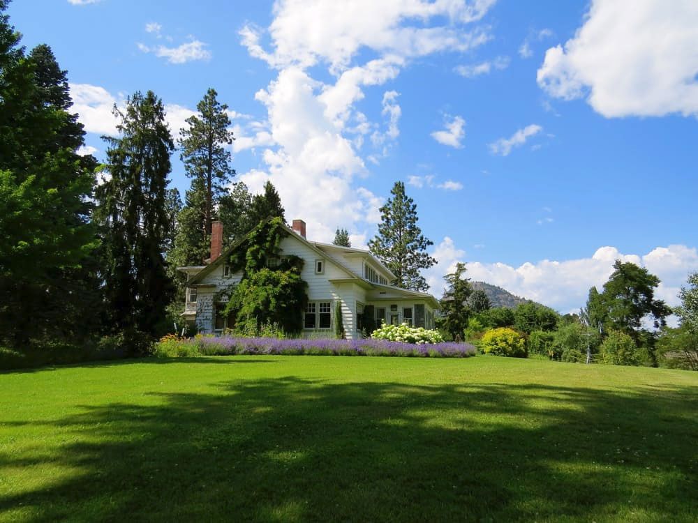 Wide lawn with mature trees in front of a house