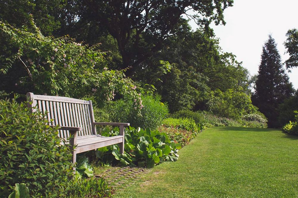 Garden bench beside a lawn framed by mature trees