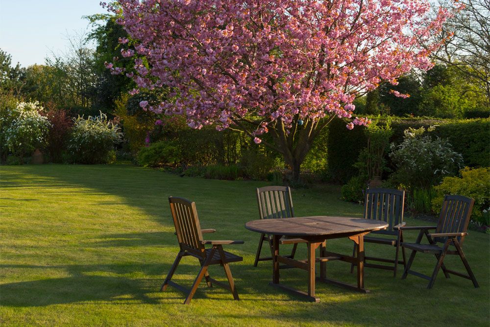 Garden dining terrace under a flowering tree